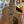 Guitare Kopo Cardiff #4  Italie Musique
