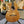 Guitare Camps M6C  Italie Musique