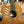 Guitare Camps M6C  Italie Musique