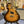 Guitare Gibson Nighthawk SP2  Italie Musique