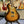 Guitare Gibson Nighthawk SP2  Italie Musique