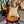 Guitare Fender Stratocaster 1973  Italie Musique