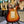 Guitare Fender Stratocaster 1973  Italie Musique