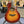 Guitare Yamaha APX-10  Italie Musique