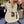 Guitare Fender Telecaster Player  Italie Musique