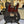Guitare Fender Telecaster American Pro Classic  Italie Musique
