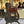 Guitare Fender Telecaster American Pro Classic  Italie Musique