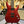 Guitare Schecter C-1 SLS Custom Racing Red  Italie Musique