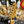Guitare Fender Telecaster Player 2  Italie Musique