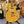 Guitare Epiphone Slash AFD Les Paul Special II  Italie Musique