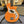 Basse Orange O-Bass  Italie Musique