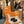 Basse Orange O-Bass  Italie Musique