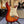 Guitare Fender Stratocaster Mexico Plus Top  Italie Musique