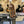 Guitare Castelluccia Studio +  Italie Musique
