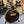 Guitare Dowina Granus GACE Black Gloss  Italie Musique