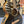 Guitare Dowina Granus GACE Black Gloss  Italie Musique