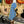 Guitare Fender Mustang Traditional 70s California Blue  Italie Musique