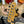 Guitare Fender Telecaster Std Mexico  Italie Musique