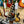 Guitare Cort X5 BSS  Italie Musique