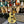 Guitare Duesenberg Starplayer TV Vintage White  Italie Musique