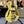 Guitare Duesenberg Starplayer TV Vintage White  Italie Musique