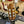 Guitare Castelluccia G6  Italie Musique