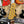 Guitare Fender Telecaster Custom Japan RI62 Red  Italie Musique