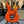 Guitare Ibanez JS2410 Joe Satriani Muscle Car Orange  Italie Musique