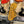 Guitare Fender Stratocaster Player Mexico  Italie Musique