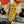 Guitare Fender Telecaster American Pro II  Italie Musique