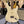 Guitare Fender Stratocaster Jeff Beck Custom Shop Olympic White  Italie Musique