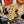 Guitare Fender Stratocaster Jeff Beck Custom Shop Olympic White  Italie Musique