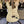Guitare Fender Stratocaster Jeff Beck Custom Shop Olympic White  Italie Musique