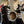 Guitare Takamine EF341SC Japon  Italie Musique