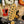 Guitare Fender Telecaster USA Std Frêne