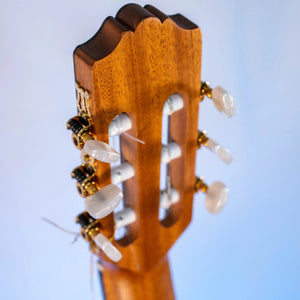 Guitare Alvaro AL50 - Italie Musique