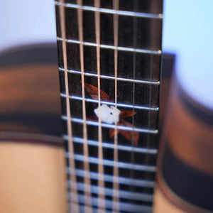 Guitare Dowina Ebony X GACE - Italie Musique