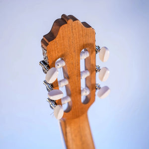 Guitare Esteve 3ST 7/8 - Italie Musique