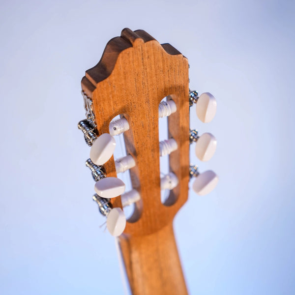 Guitare Esteve 3ST 7/8 - Italie Musique