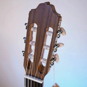 Guitare Esteve 3ST 7/8 - Italie Musique