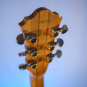 Guitare Ibanez Musician MC300 Japon - Italie Musique