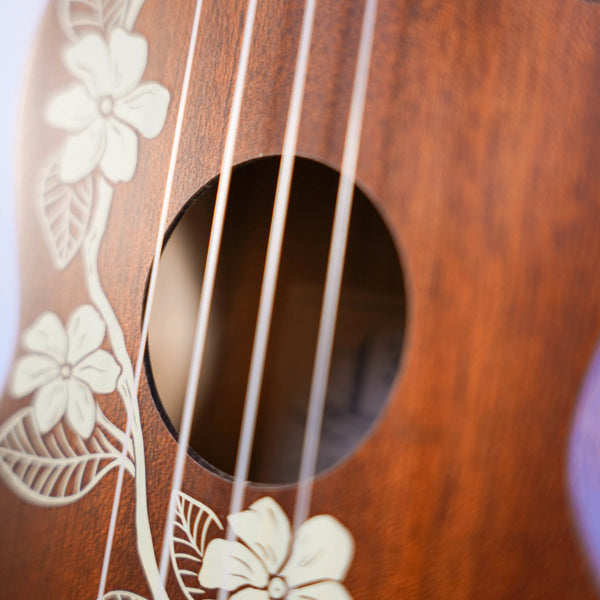 Ukulélé Kala Gardenia Soprano - Italie Musique