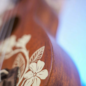 Ukulélé Kala Gardenia Soprano - Italie Musique